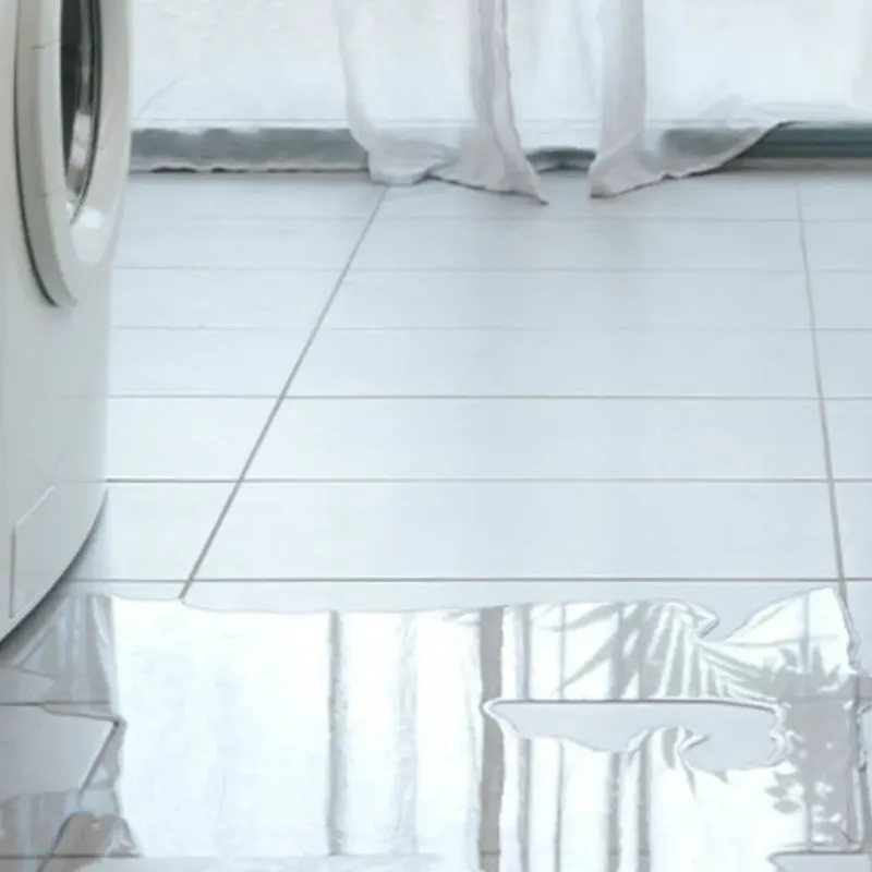 Appliance Leak Cleanup in Musselshell County, MT