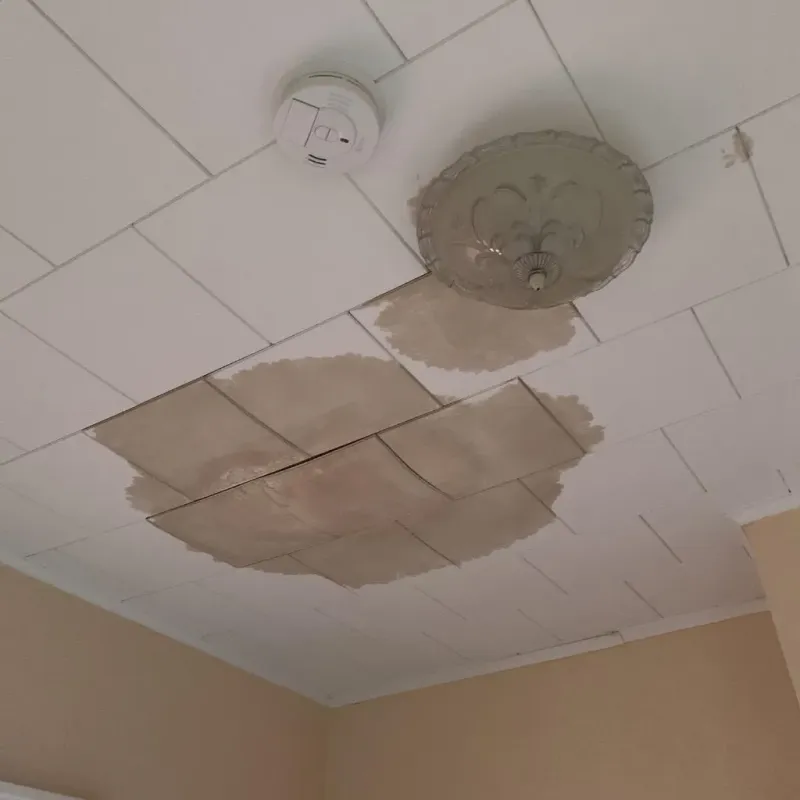 Ceiling Water Damage Repair in Musselshell County, MT