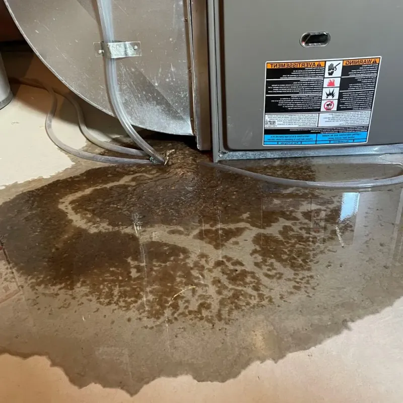 Pipe Burst and Leak Restoration in Musselshell County, MT